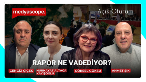 Komisyon raporu  Ne Vadediyor